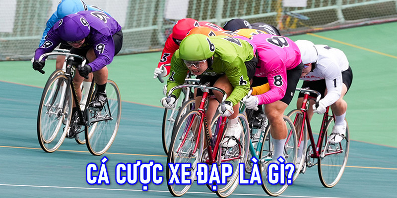 Mẹo Phân Tích Xu Hướng Trong Cá Cược Xe Đạp Tại F168 5 Thông tin cơ bản về loại hình cá cược đua xe đạp